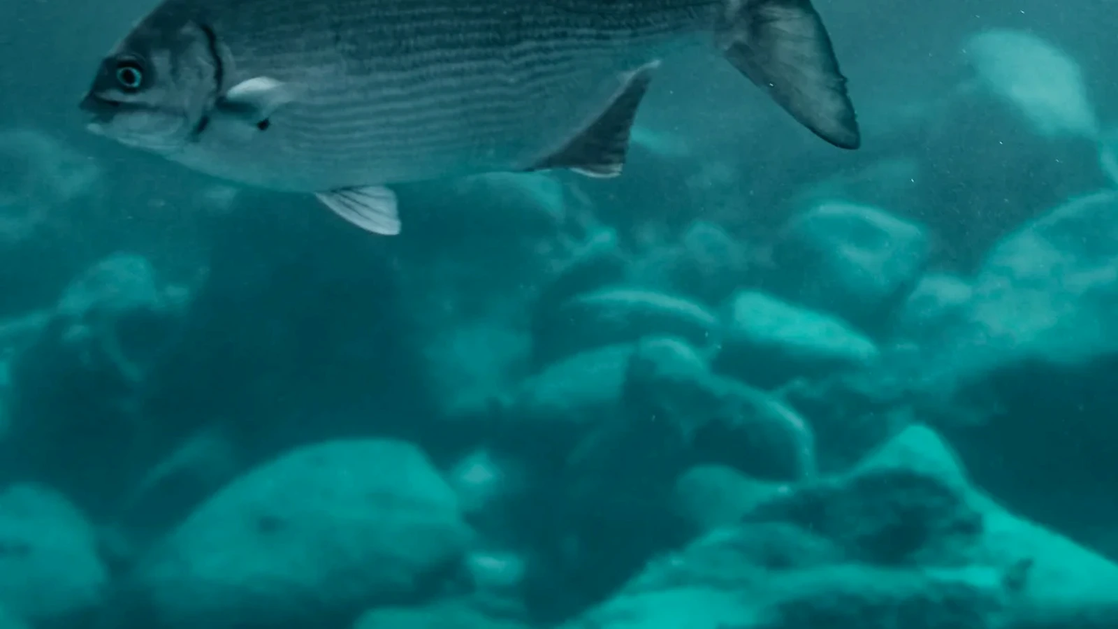 M88 link mới nhất 2026-06-26, đăng ký, nạp rút và khuyến mãi nạp đầu lên đến 100% · tin kèo độc quyền — mẹo cho người mới