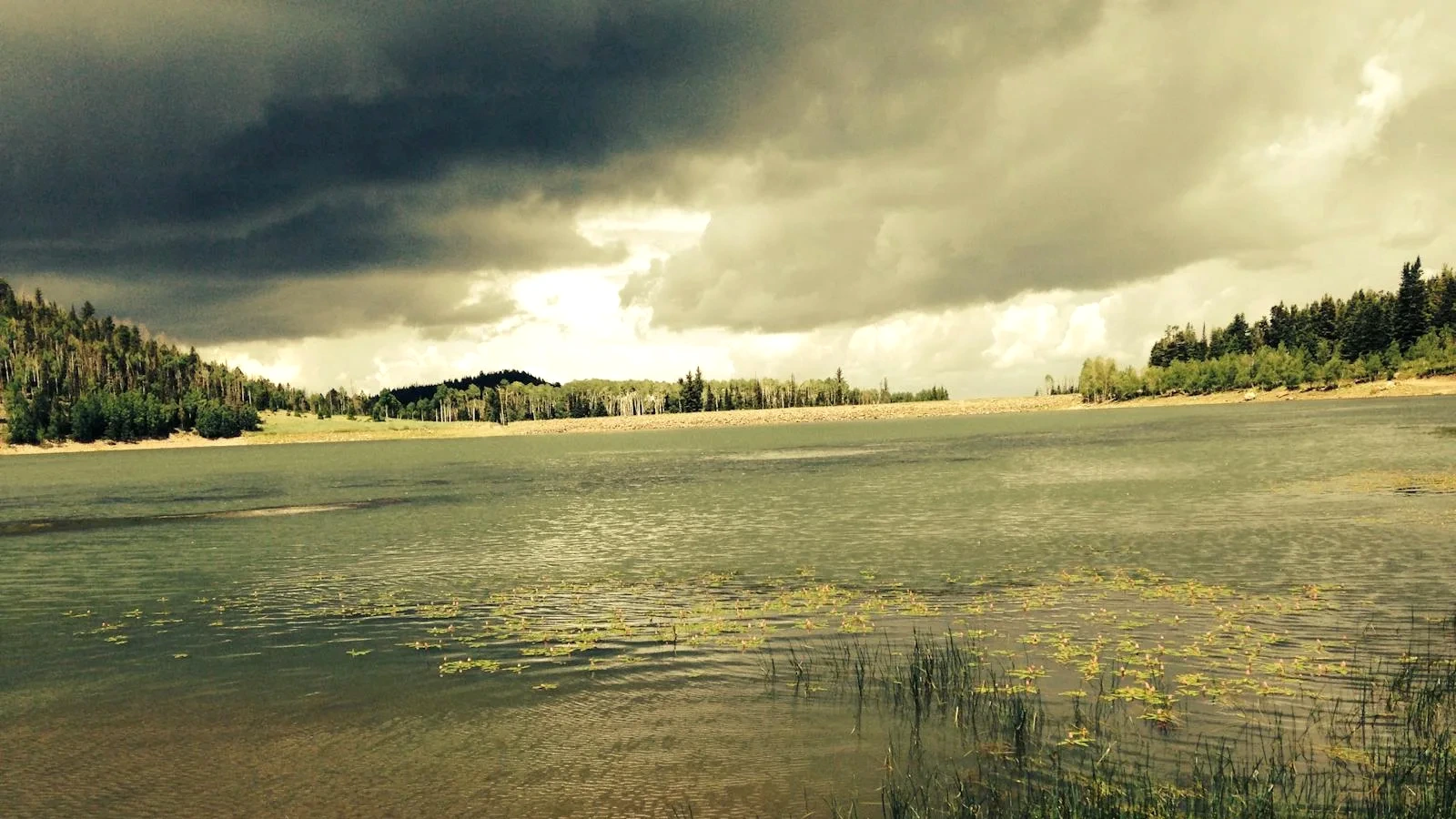 SODO66 link mới nhất 2026-06-26, đăng ký, nạp rút và xóc đĩa online cược tiền thật · điểm kèo trưa — giải đáp thắc mắc thường gặp